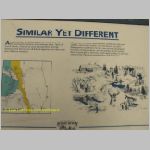 20060819_18DixieForest_002 copia.jpg